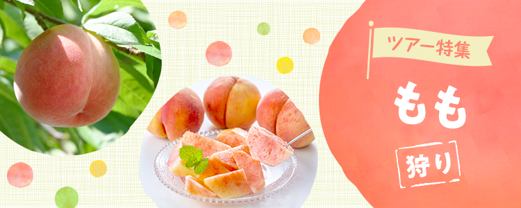 桃狩り日帰りバスツアー