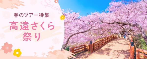 高遠さくら祭りバスツアー