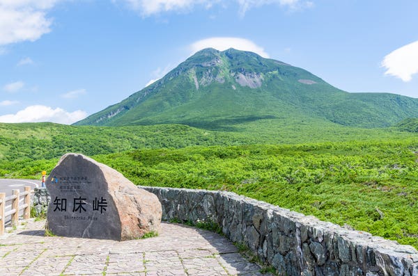 知床ツアー