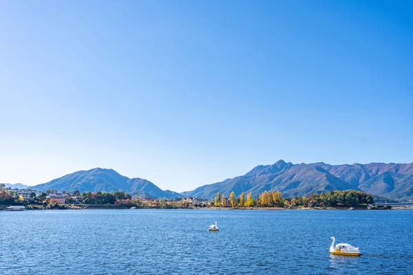 河口湖の絶景