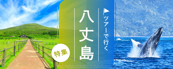 八丈島 ツアー