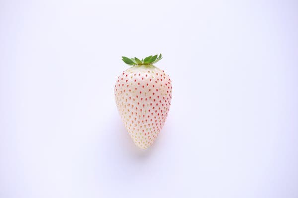 ミルキーベリー