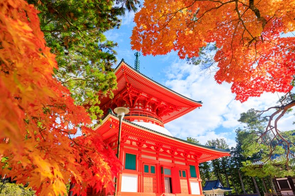 高野山　紅葉