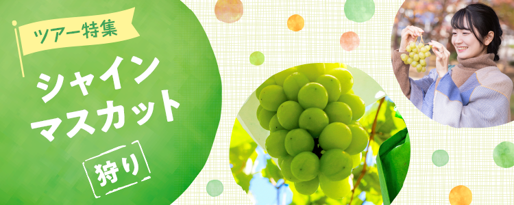 シャインマスカット狩りバスツアー