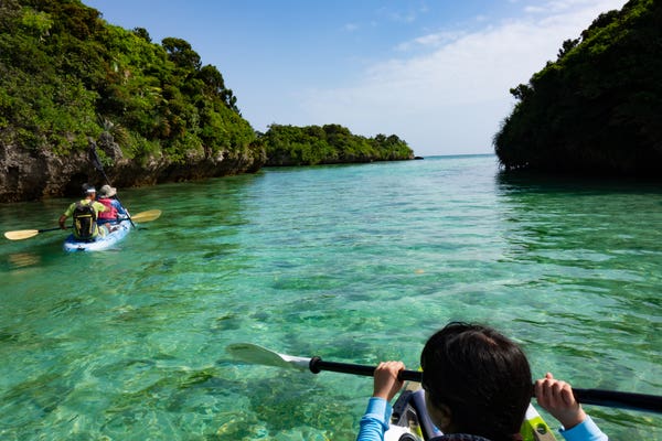 石垣島ツアーの選び方