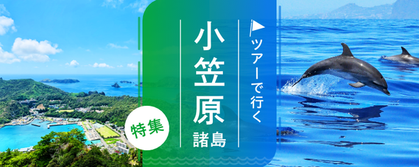 小笠原諸島 ツアー