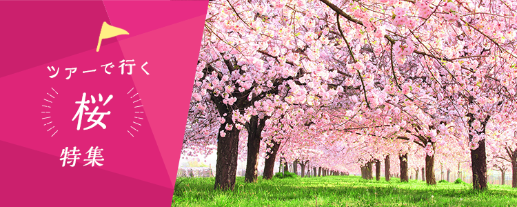 日帰りバスツアーで行く 桜・お花見