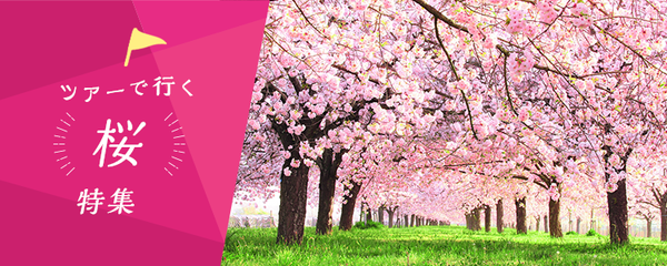 日帰りバスツアーで行く 桜・お花見