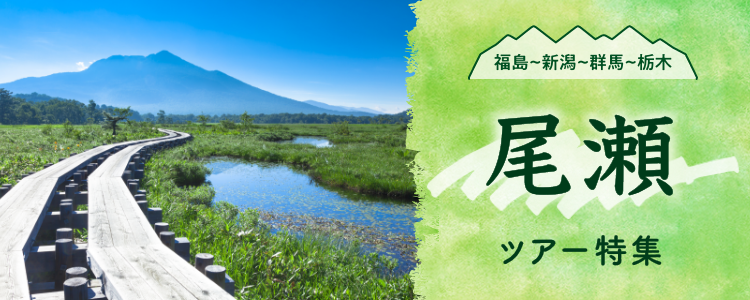 福島～新潟～群馬～栃木 尾瀬ツアー