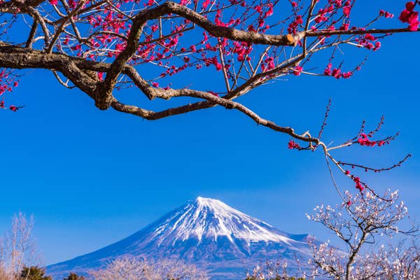 年末年始 背景