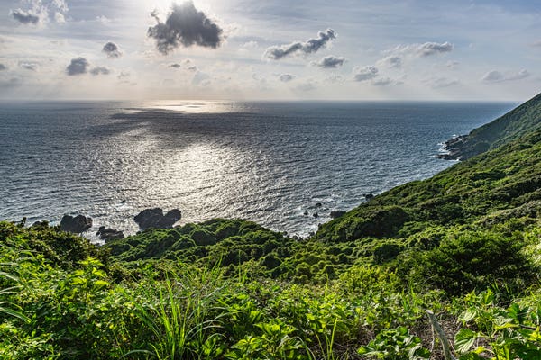 屋久島ツアーを見つける