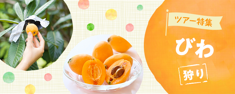 びわ狩り日帰りバスツアー