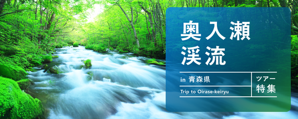 奥入瀬渓流 ツアー