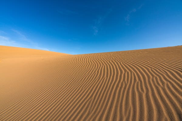 青空と鳥取砂丘