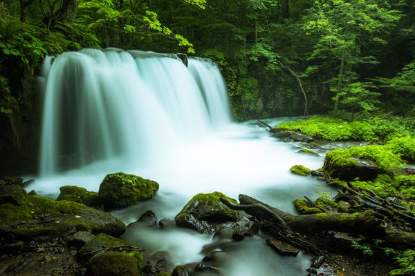 奥入瀬渓流 滝