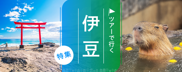 伊豆 ツアー