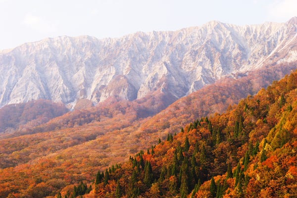 蒜山高原