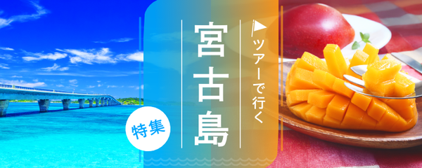 宮古島 ツアー