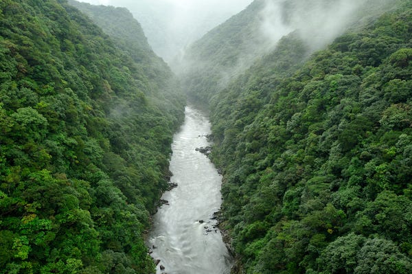 屋久島の川
