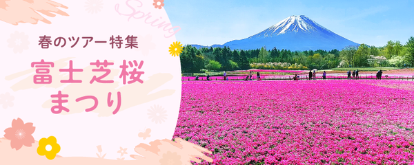 富士芝桜まつり ツアー