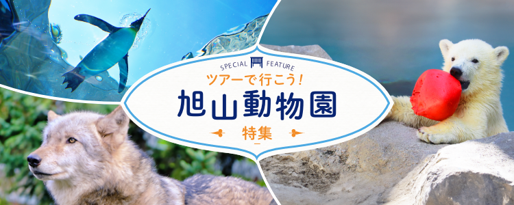 ツアーで行こう！ 旭山動物園