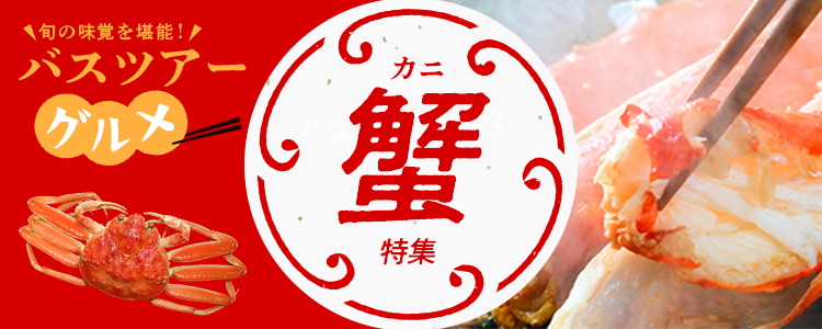 日帰り 宿泊バスツアーの人気格安プラン検索 バス比較なび