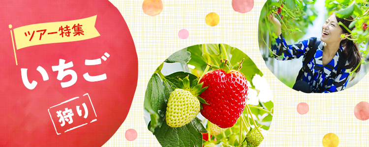 いちご狩りバスツアー