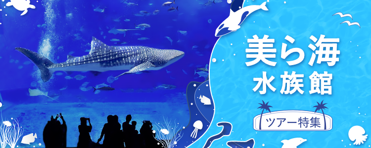 美ら海水族館ツアー