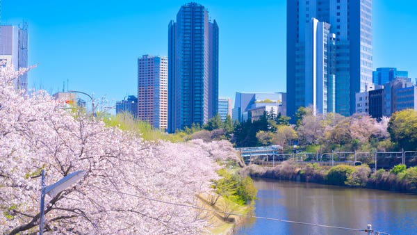 春休みツアー探し