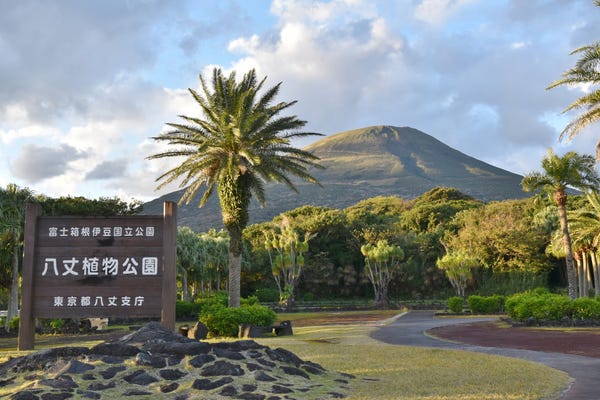 八丈島