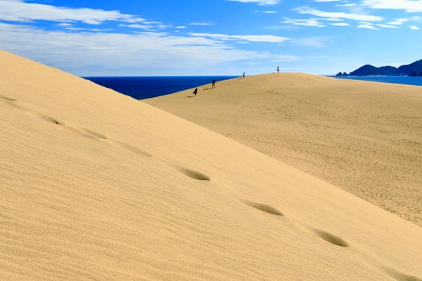 鳥取砂丘ツアー
