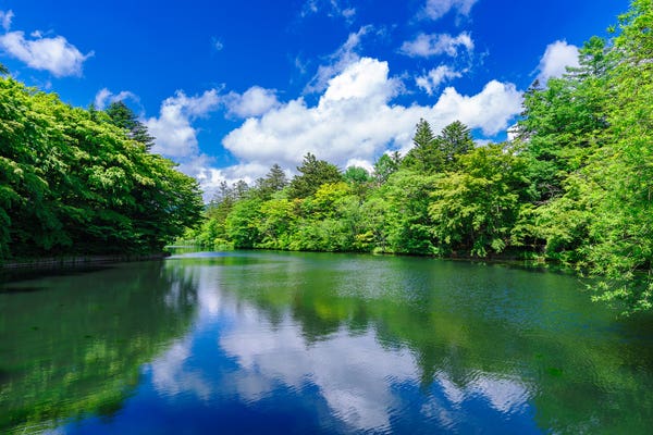 軽井沢ツアー おすすめ