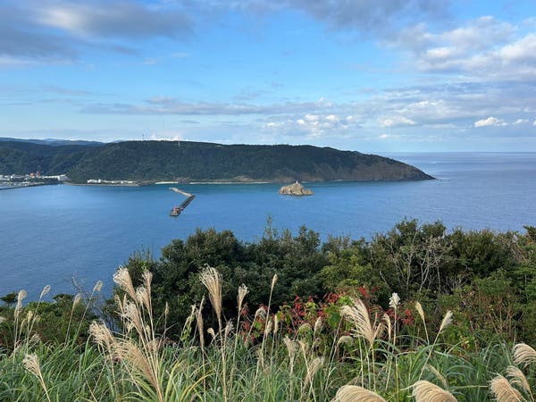 奄美大島 シーズン