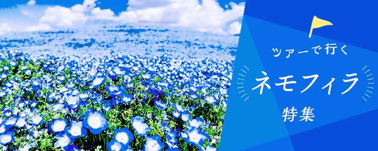 ネモフィラ 日帰り・宿泊バスツアー 特集