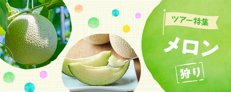 メロン狩りバスツアー