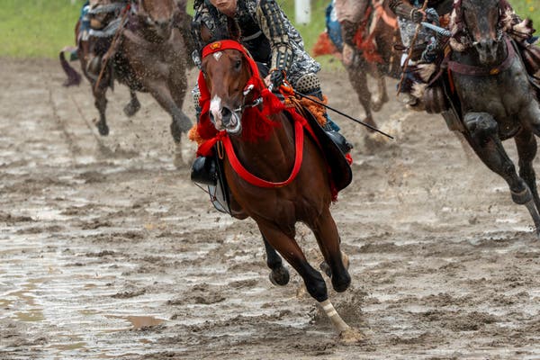相馬野馬追ツアー