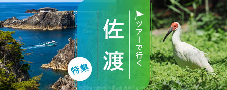 佐渡 ツアー