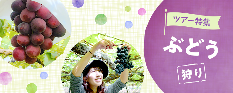 ぶどう狩りバスツアー