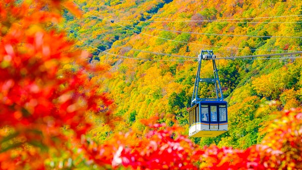 立山黒部 紅葉