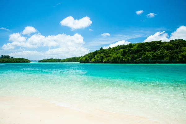 石垣島ツアーへ