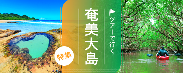 奄美大島 ツアー