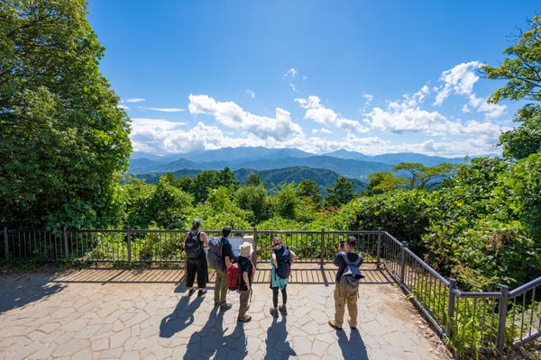 山頂からの絶景