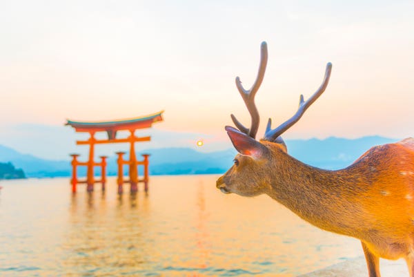嚴島神社
