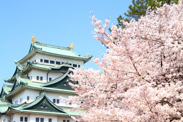 名古屋ツアー ポイント