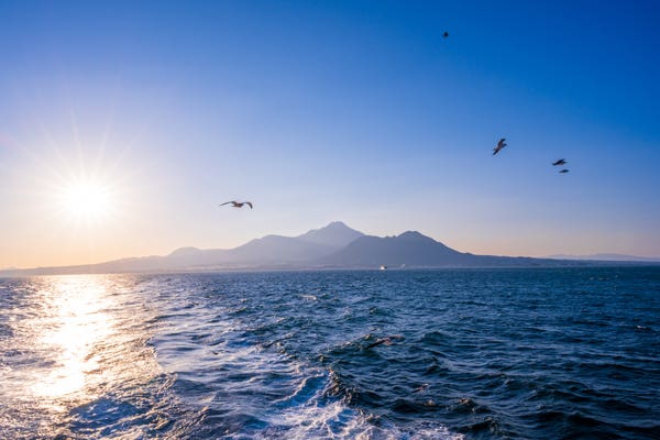 有明海