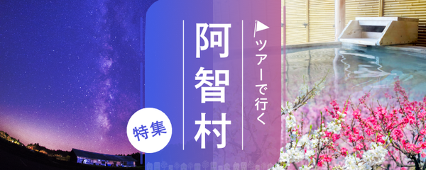 ツアーで行く阿智村
