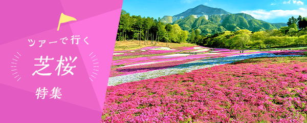 日帰りバスツアーで行く芝桜