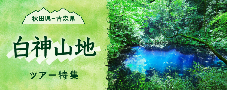 白神山地 ツアー