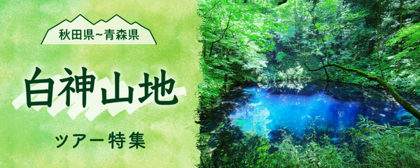 白神山地 ツアー