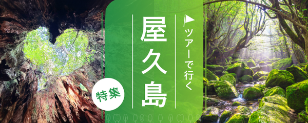 屋久島 バナー